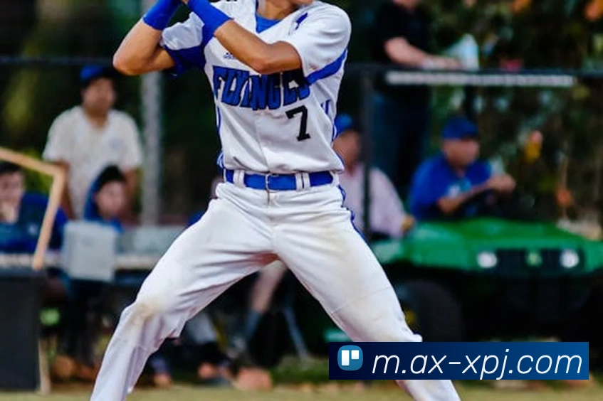 新葡京娱乐平台生态图